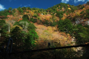 181103　大杉谷-19　堂倉滝岳から望む紅葉.jpg